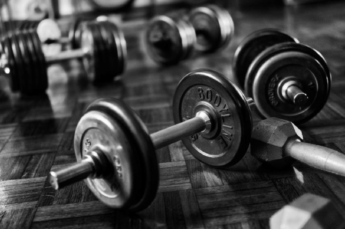 Interior del gimnasio